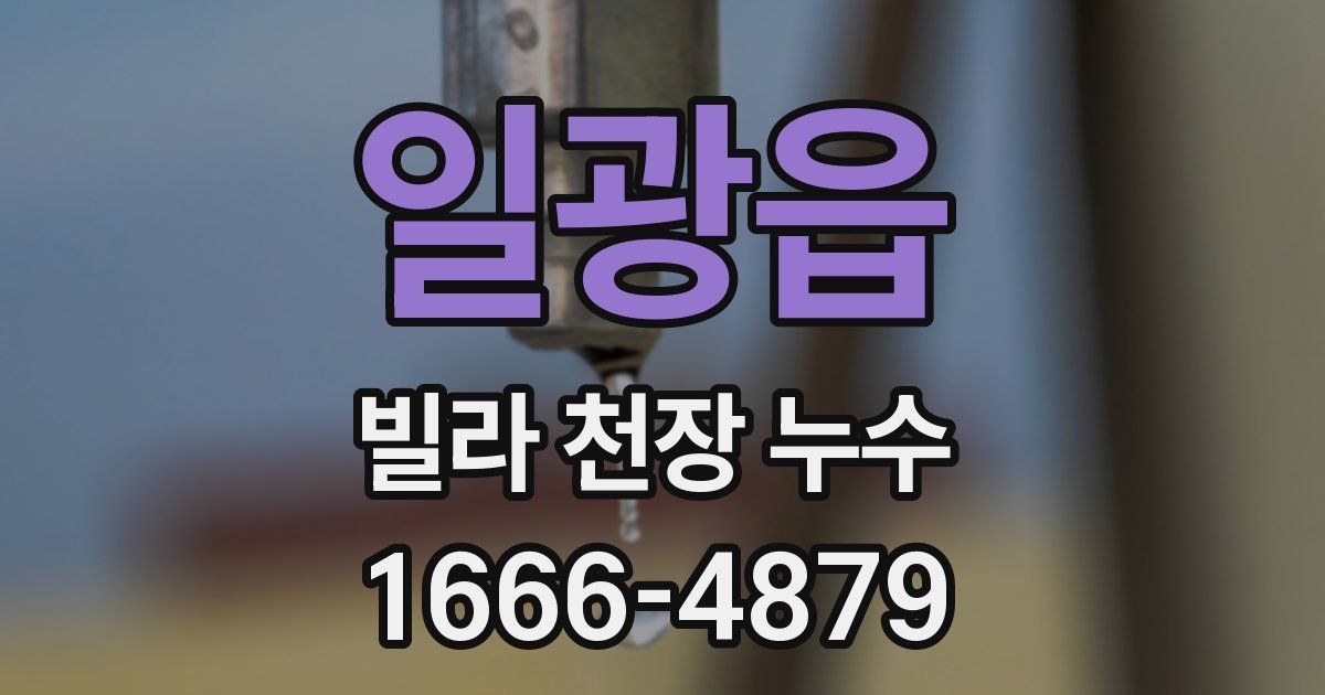 일광읍 빌라 천장 누수