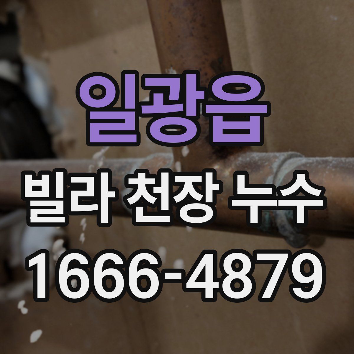 일광읍 빌라 천장 누수