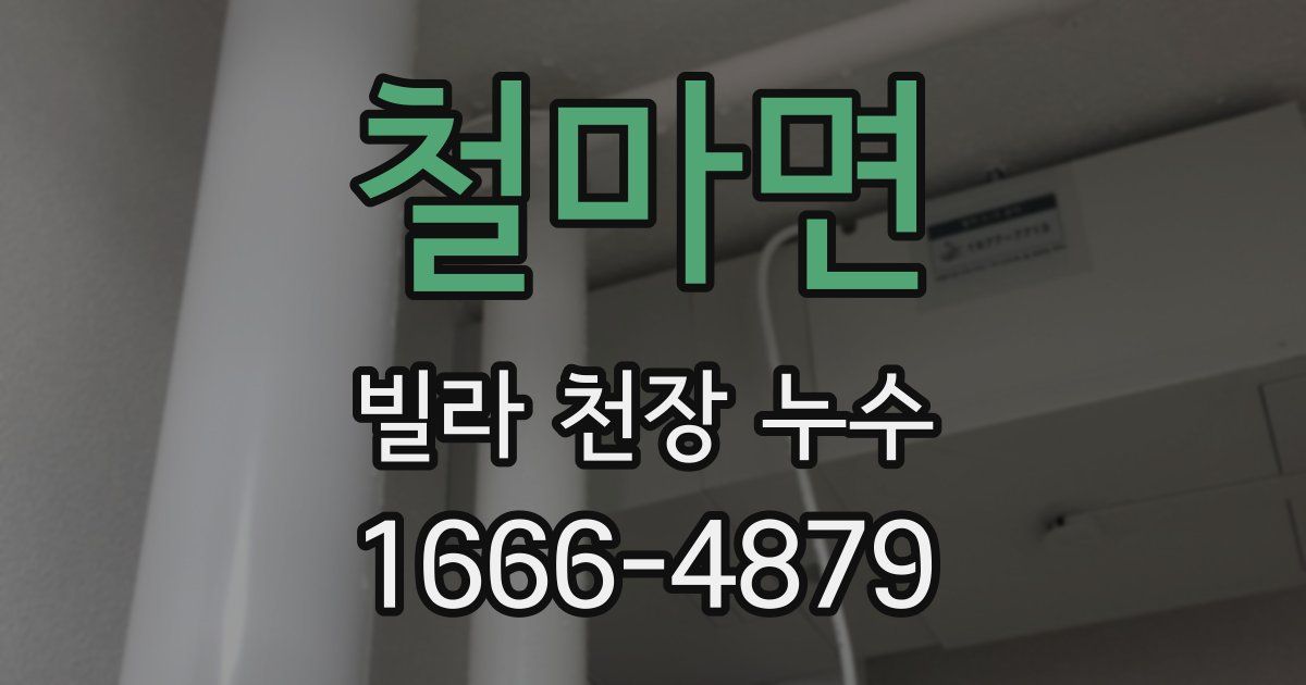철마면 빌라 천장 누수