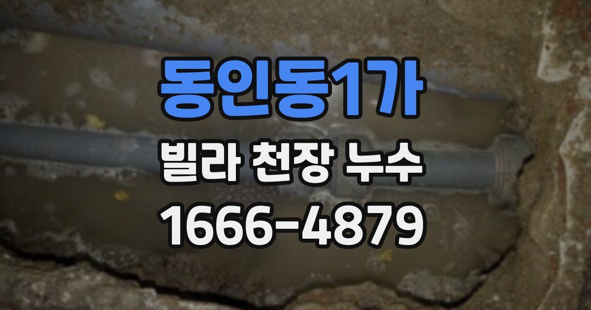 동인동1가 빌라 천장 누수