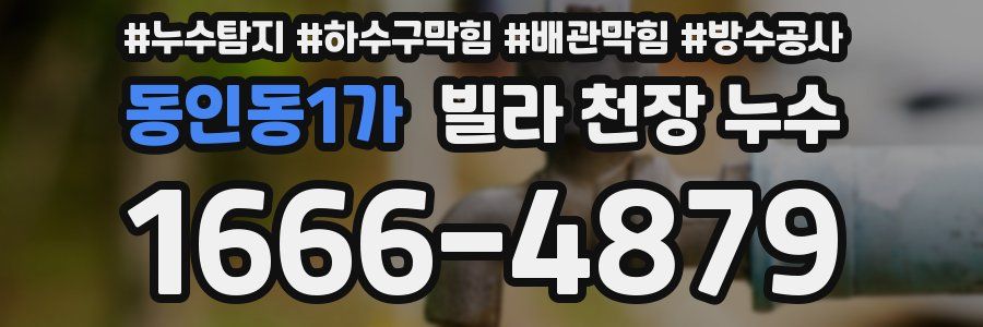 동인동1가 빌라 천장 누수