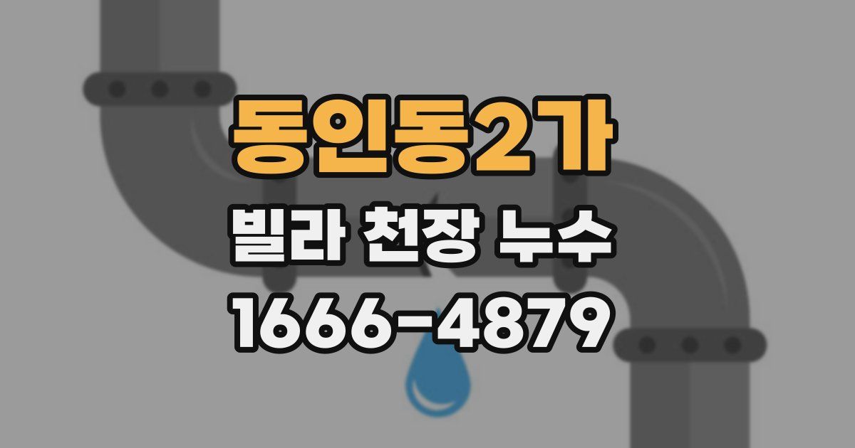 동인동2가 빌라 천장 누수