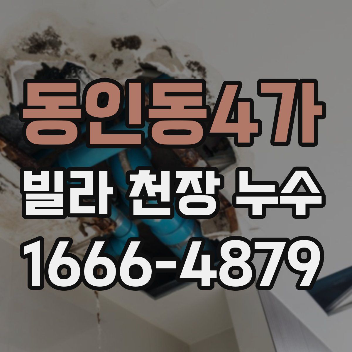 동인동4가 빌라 천장 누수