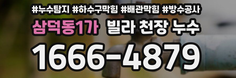삼덕동1가 빌라 천장 누수