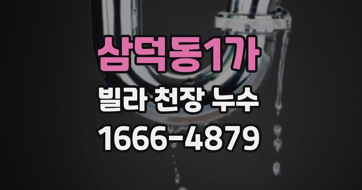 삼덕동1가 빌라 천장 누수