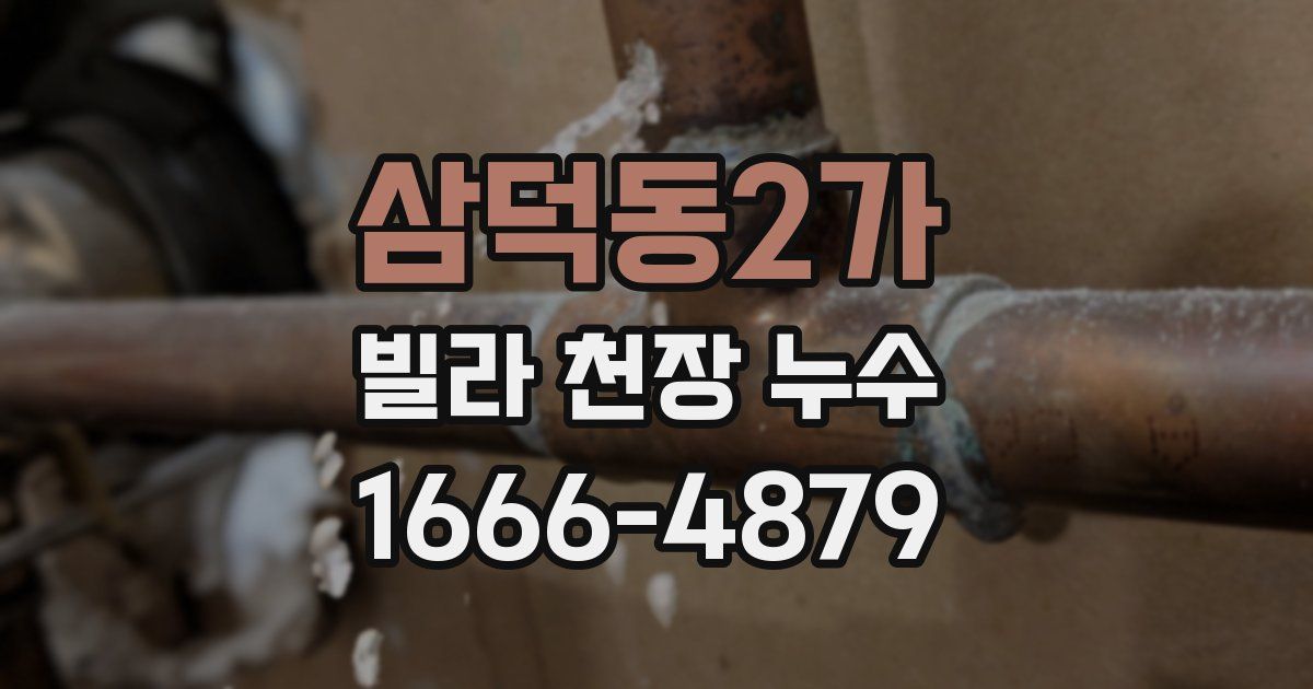 삼덕동2가 빌라 천장 누수