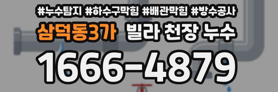 삼덕동3가 빌라 천장 누수