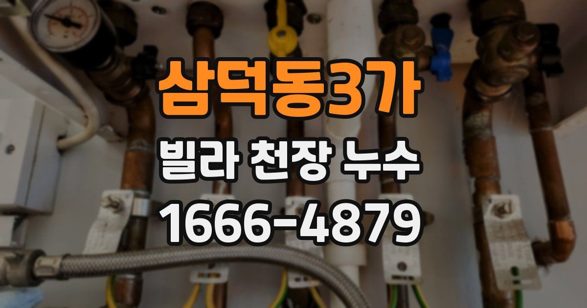 삼덕동3가 빌라 천장 누수