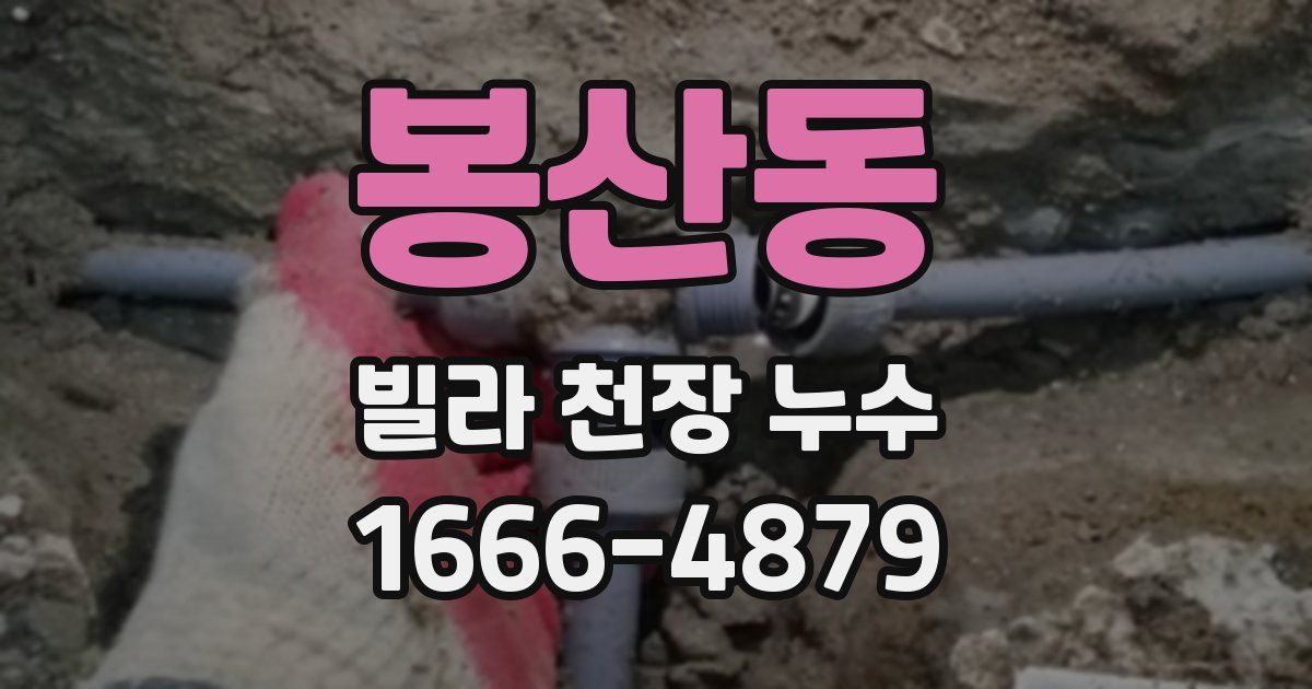 봉산동 빌라 천장 누수