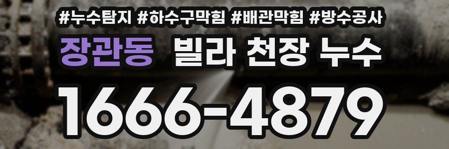 장관동 빌라 천장 누수