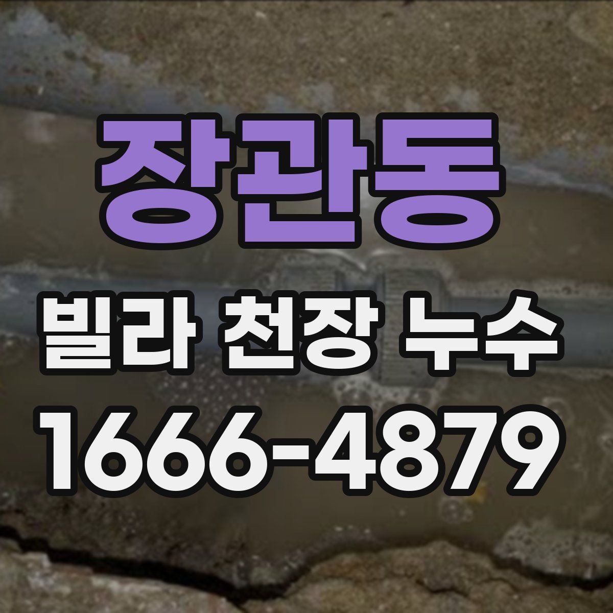 장관동 빌라 천장 누수