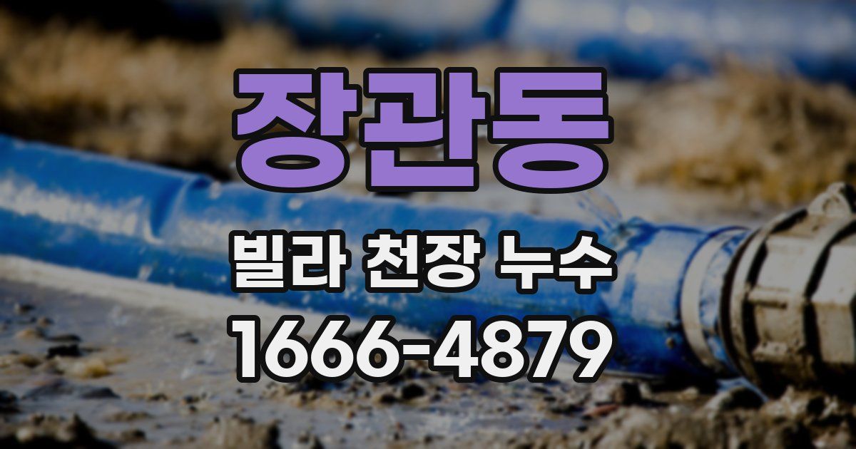 장관동 빌라 천장 누수