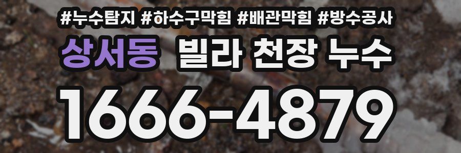 상서동 빌라 천장 누수