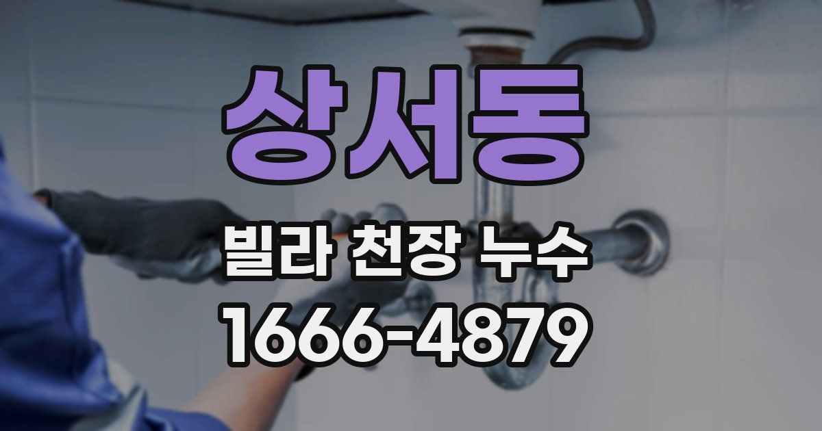 상서동 빌라 천장 누수