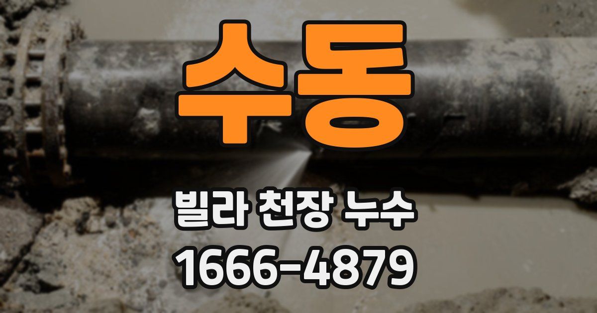 수동 빌라 천장 누수
