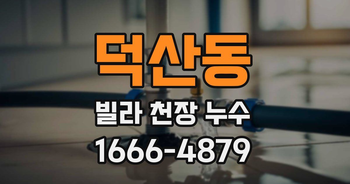 덕산동 빌라 천장 누수