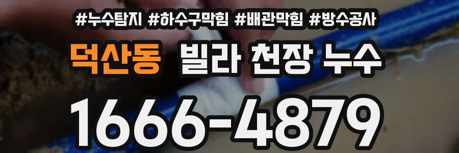 덕산동 빌라 천장 누수