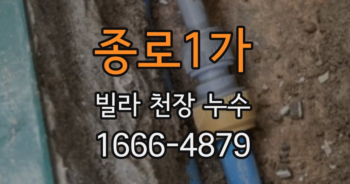 종로1가 빌라 천장 누수