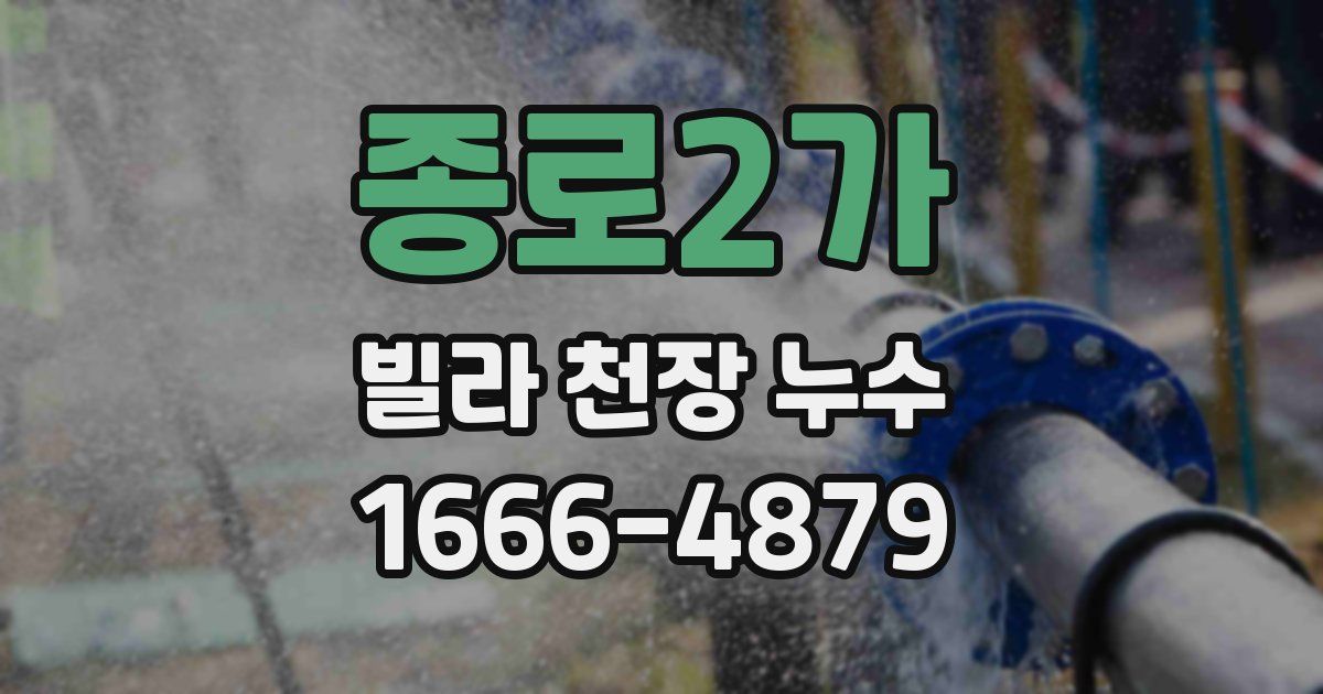 종로2가 빌라 천장 누수