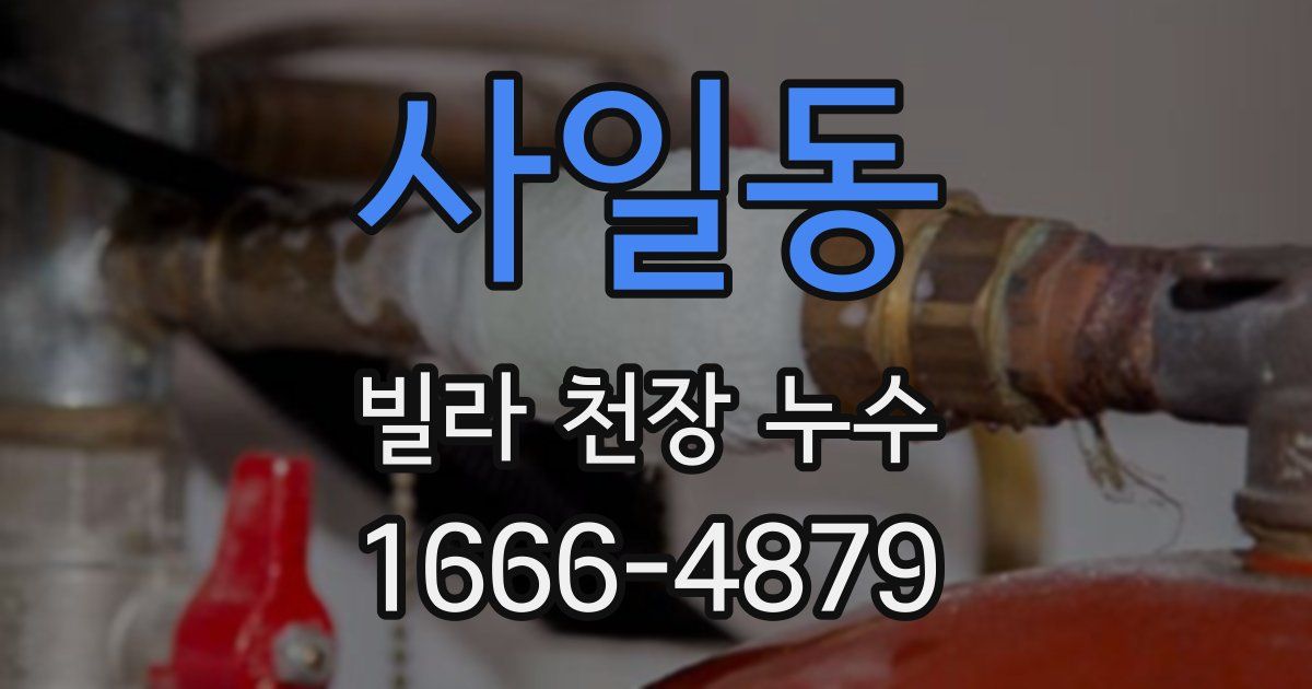 사일동 빌라 천장 누수