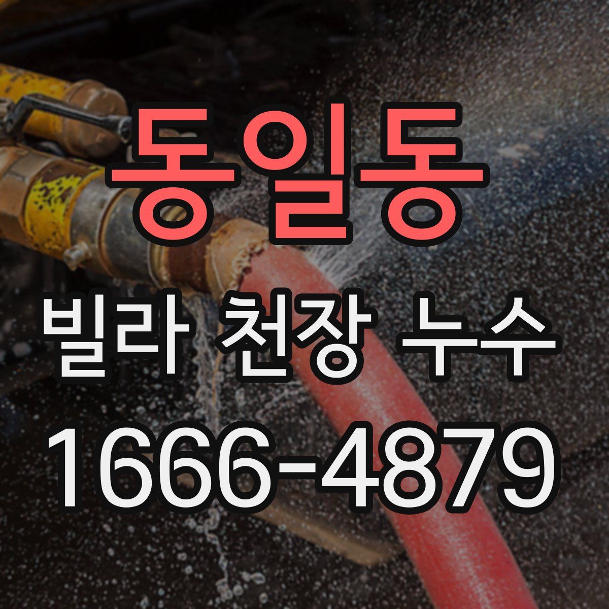 동일동 빌라 천장 누수
