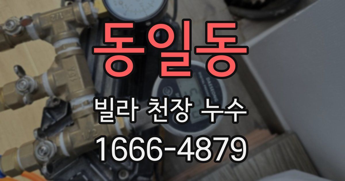 동일동 빌라 천장 누수