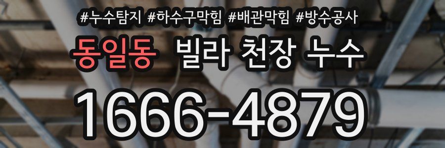 동일동 빌라 천장 누수