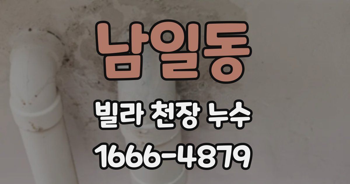 남일동 빌라 천장 누수