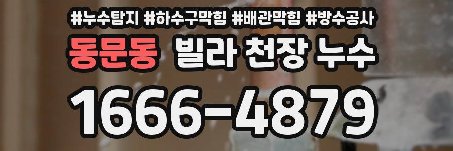 동문동 빌라 천장 누수