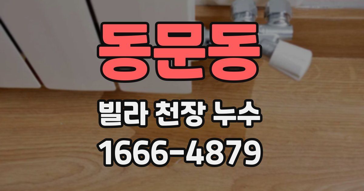 동문동 빌라 천장 누수