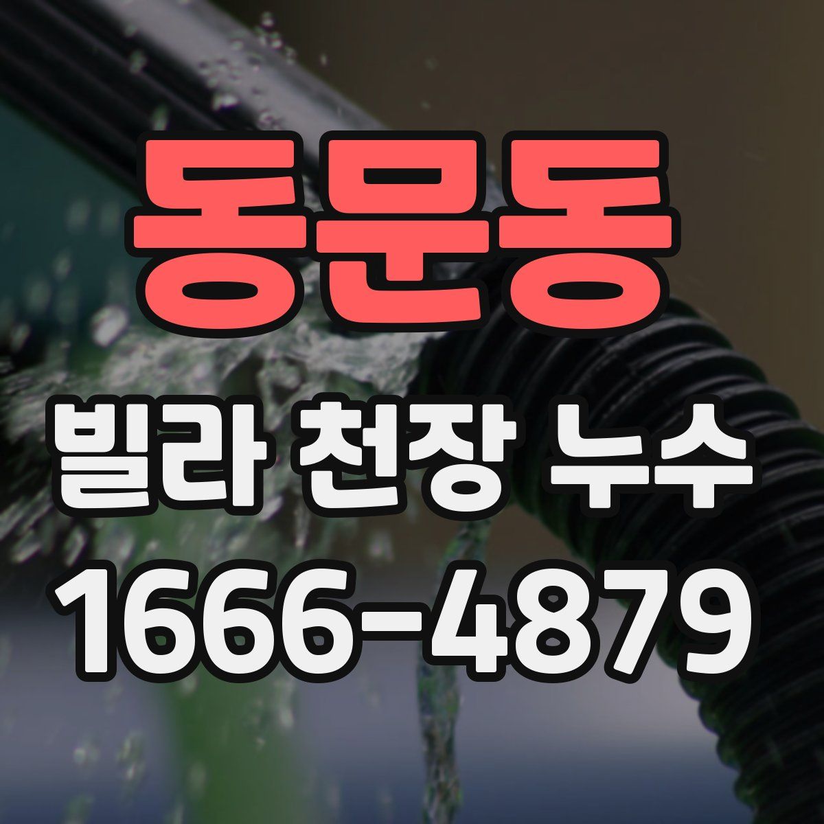 동문동 빌라 천장 누수