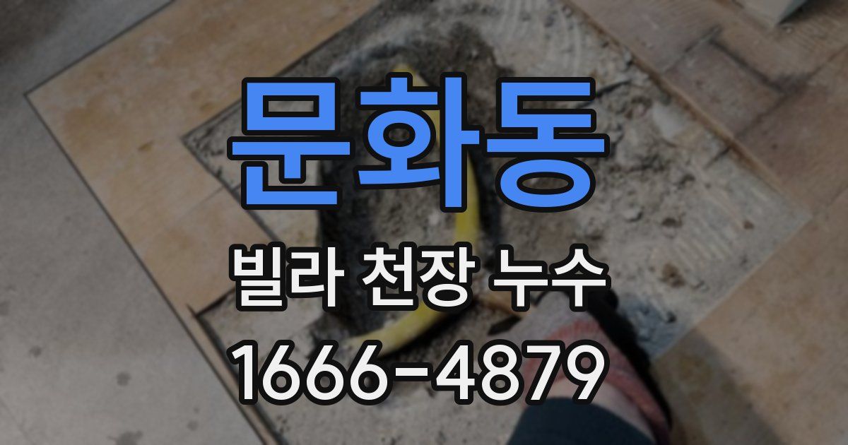 문화동 빌라 천장 누수