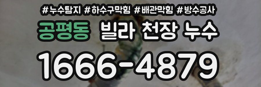 공평동 빌라 천장 누수