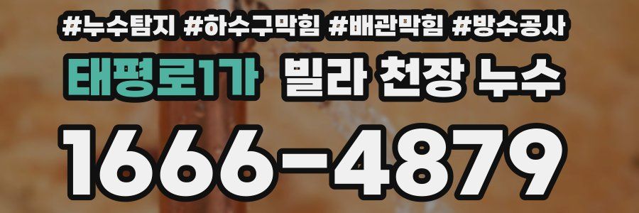 태평로1가 빌라 천장 누수