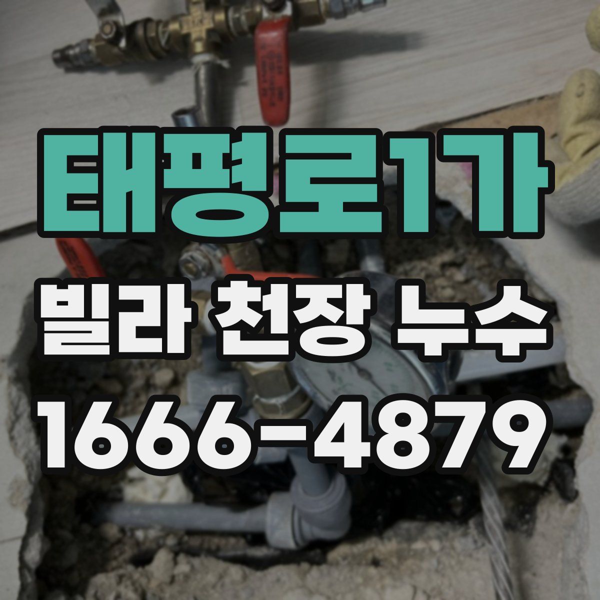태평로1가 빌라 천장 누수