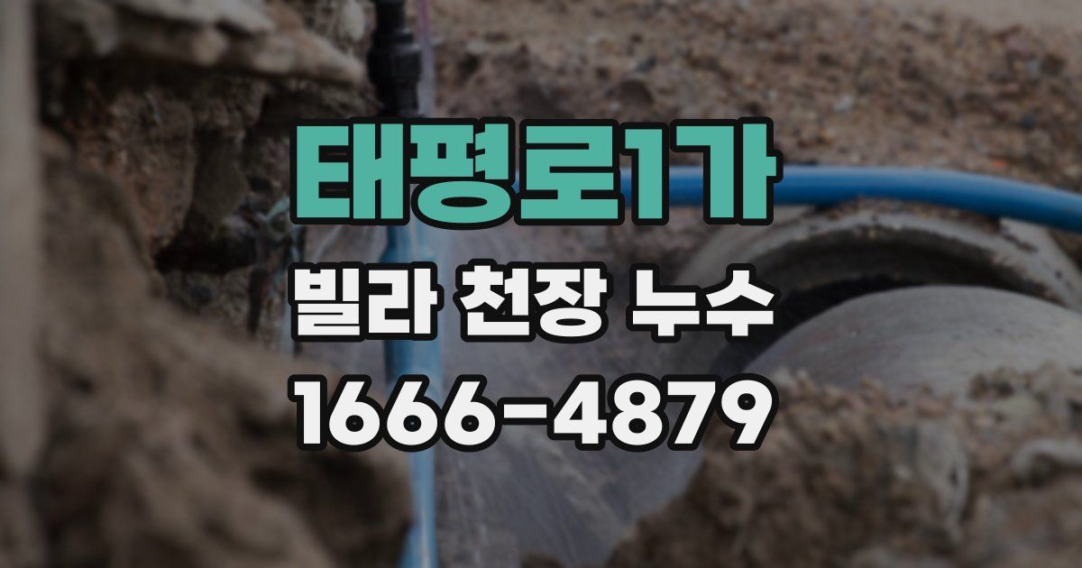 태평로1가 빌라 천장 누수