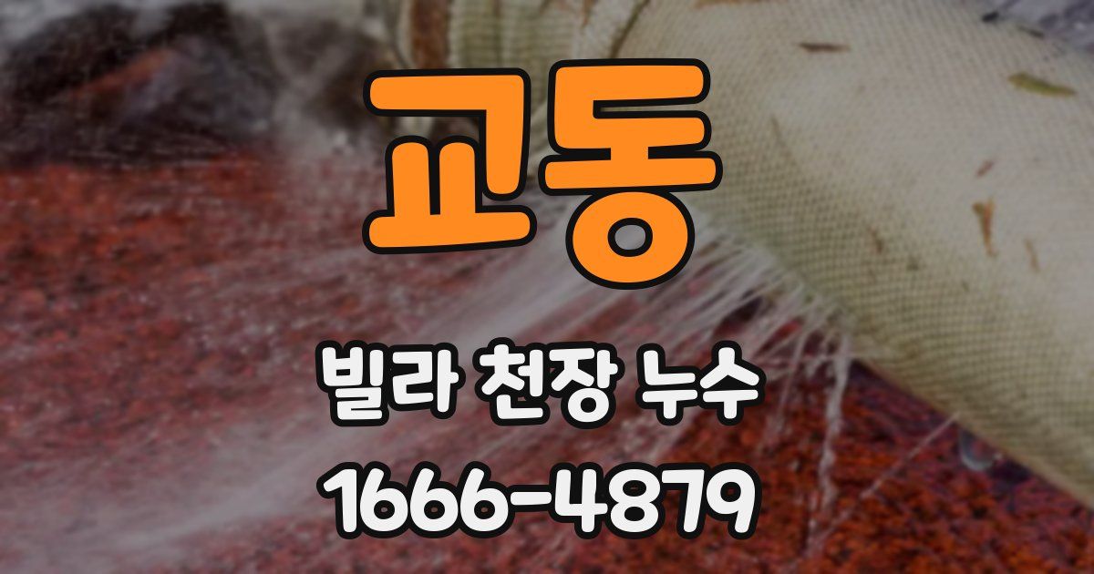 교동 빌라 천장 누수
