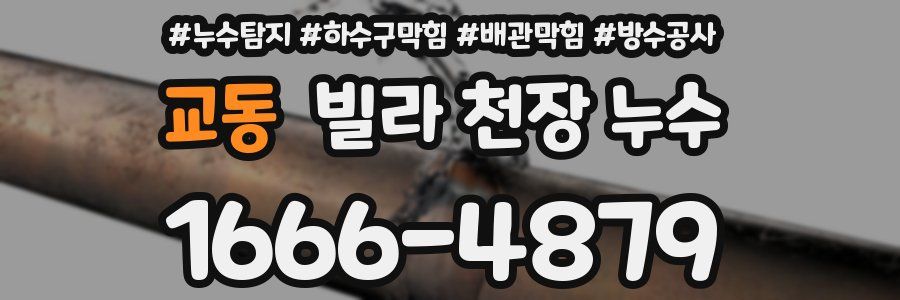 교동 빌라 천장 누수