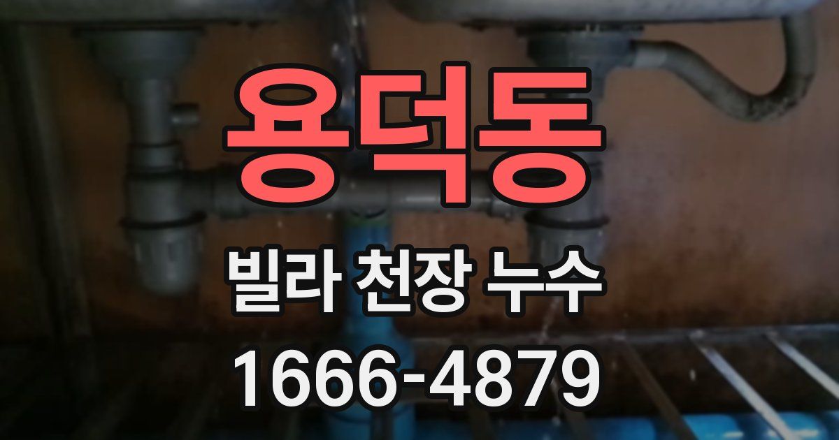 용덕동 빌라 천장 누수