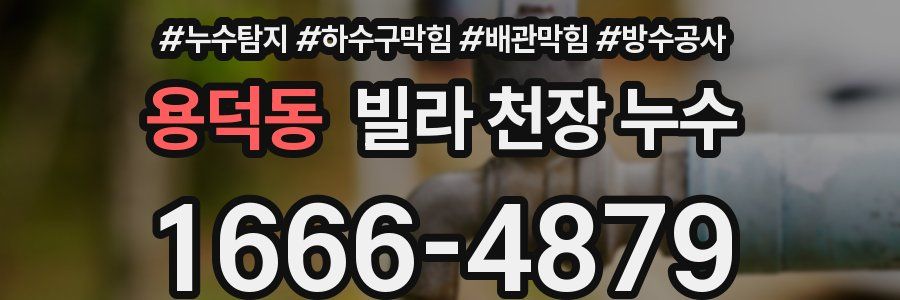 용덕동 빌라 천장 누수