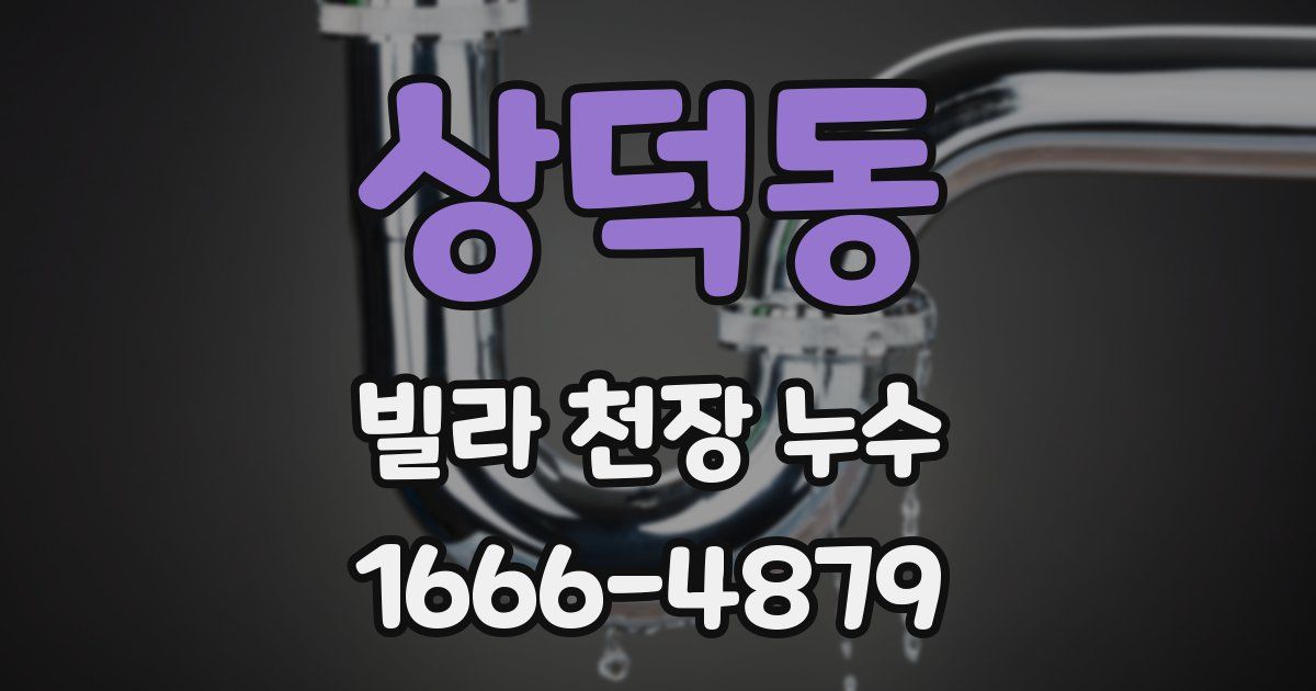 상덕동 빌라 천장 누수