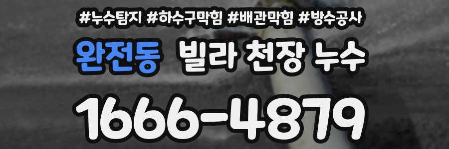 완전동 빌라 천장 누수