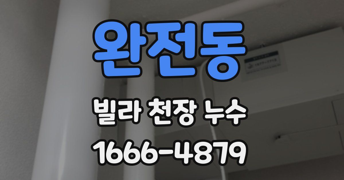 완전동 빌라 천장 누수