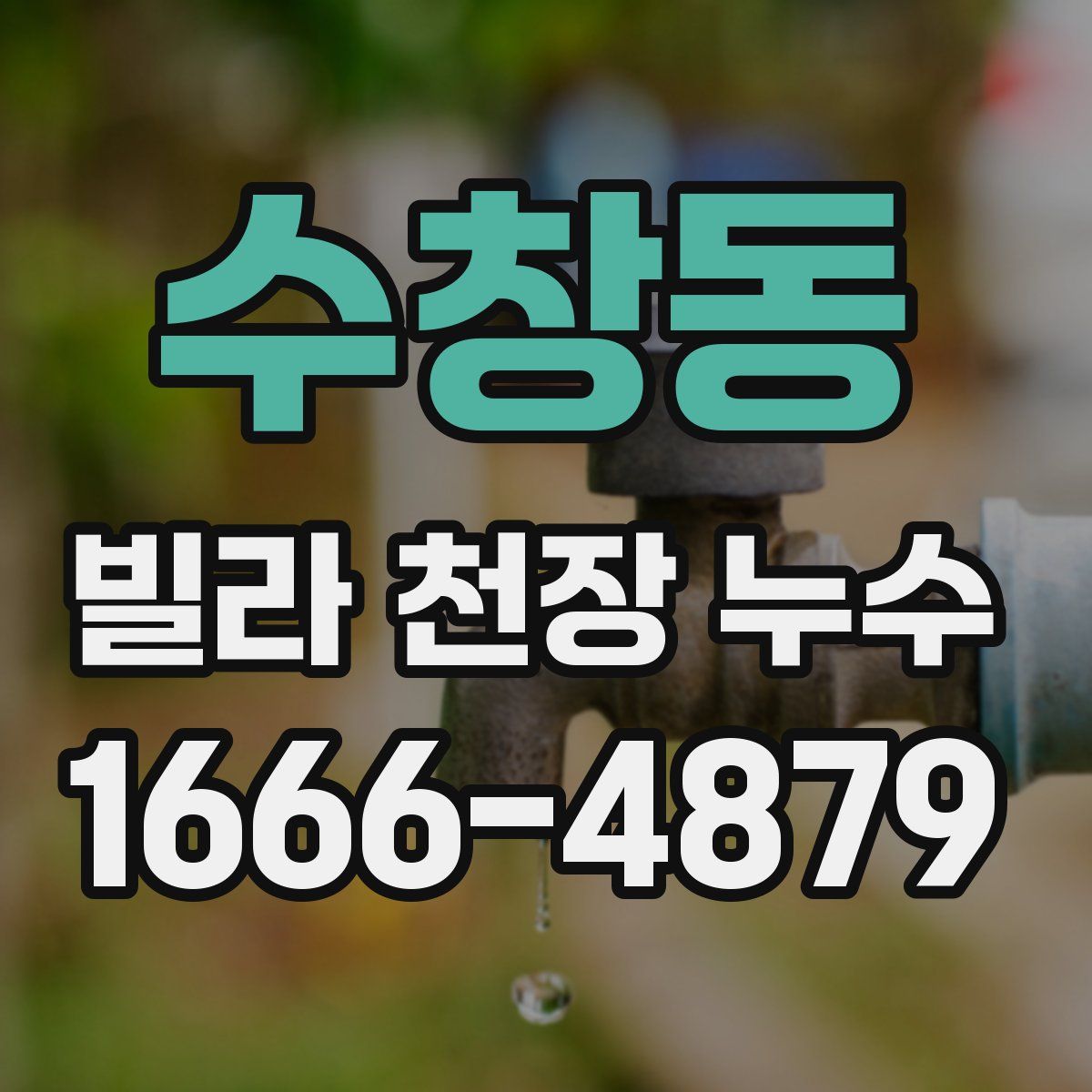 수창동 빌라 천장 누수