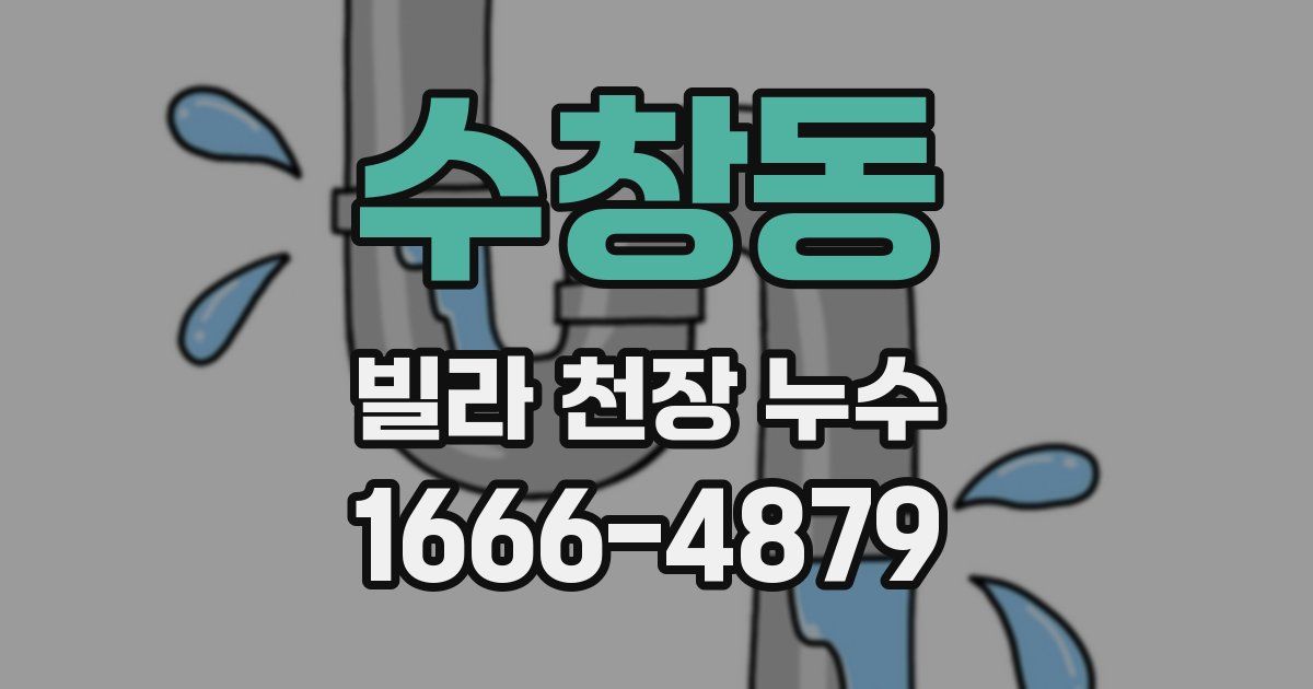 수창동 빌라 천장 누수