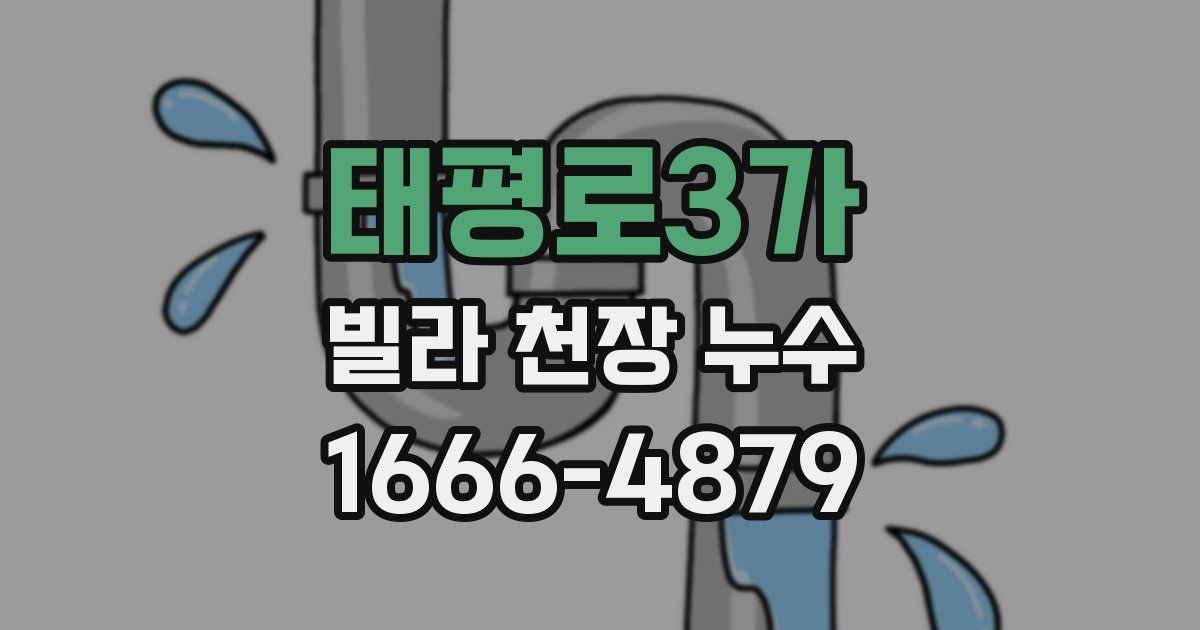 태평로3가 빌라 천장 누수