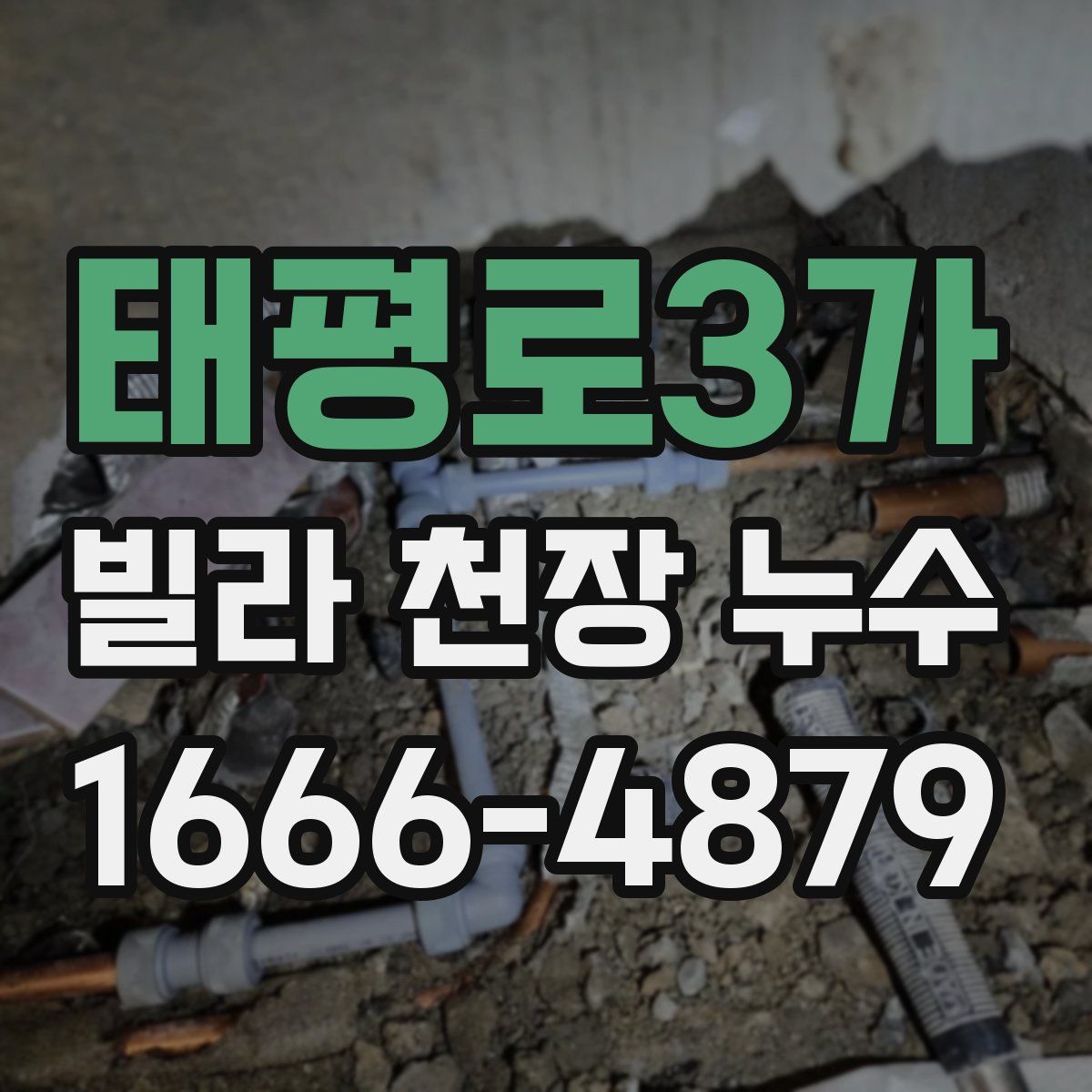 태평로3가 빌라 천장 누수
