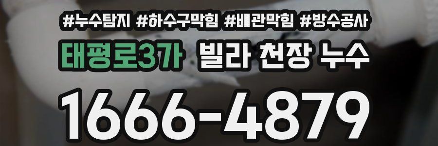 태평로3가 빌라 천장 누수