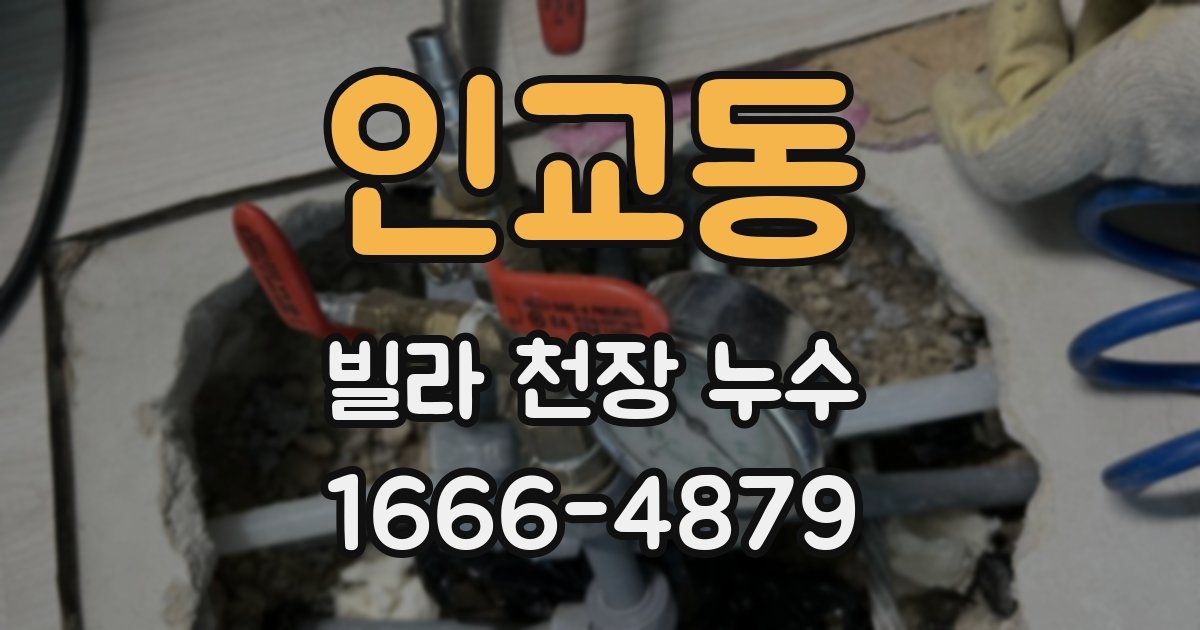 인교동 빌라 천장 누수