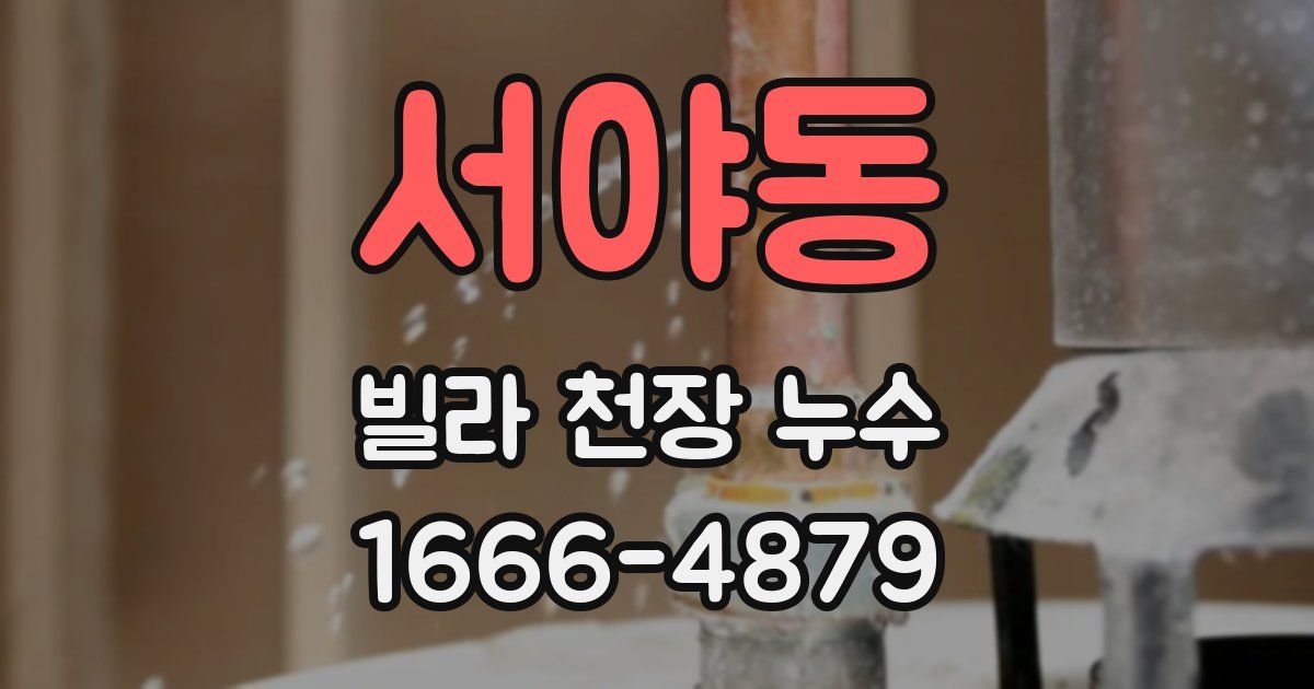 서야동 빌라 천장 누수